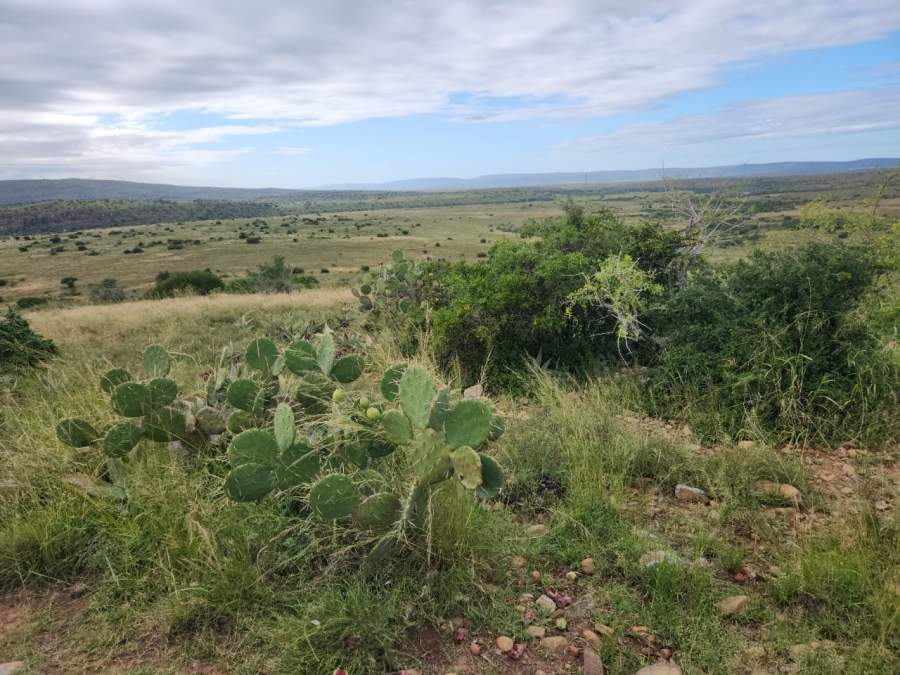 Commercial Property for Sale in Somerset East Rural Eastern Cape